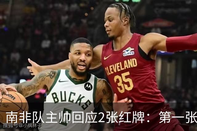 南非队主帅回应2张红牌：第一张无异议 第二张量刑过重